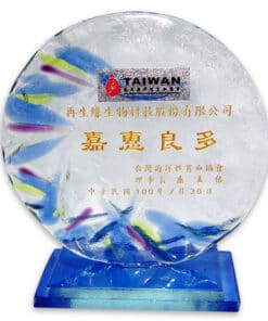 台灣海洋貧血協會感謝狀